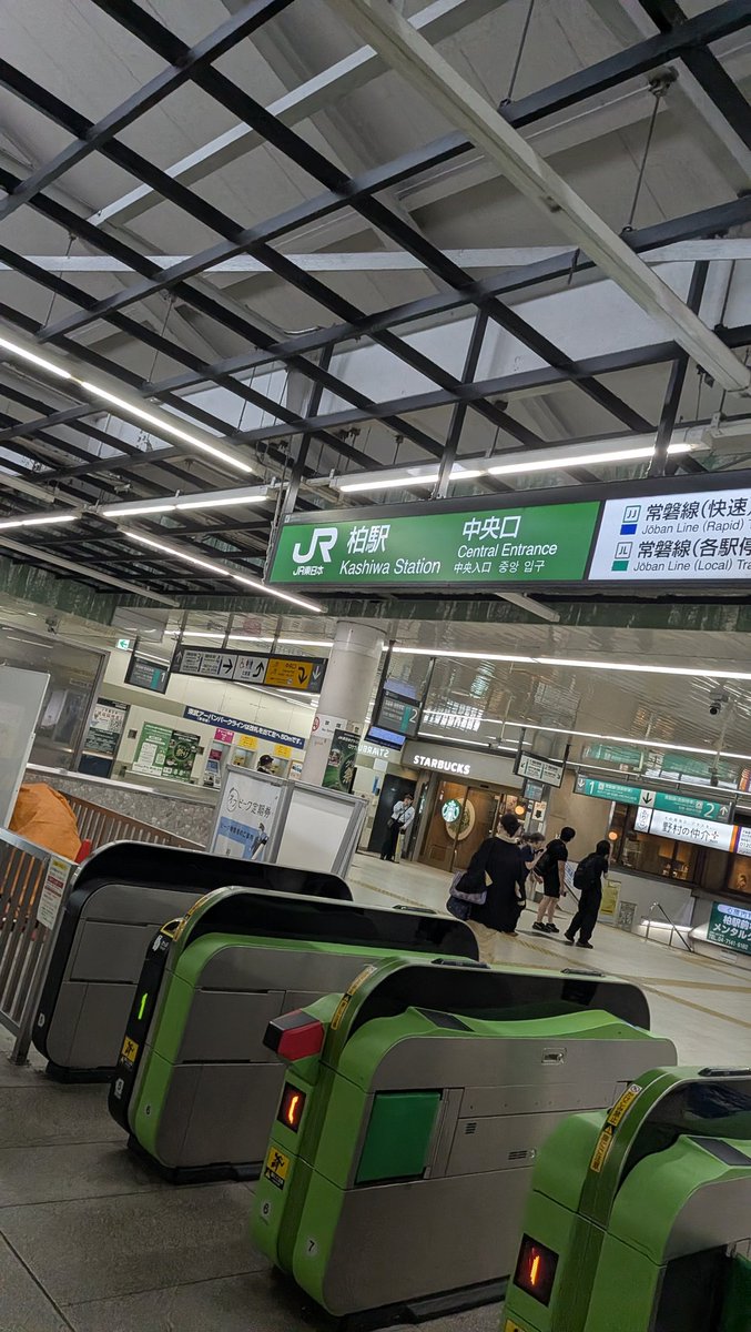 写真1