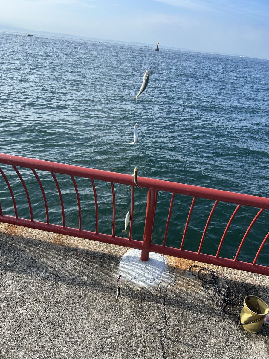 ReinhardtExp_ow's tweet photo. 小魚大量、なおルアー https://t.co/DkTMqxboNm