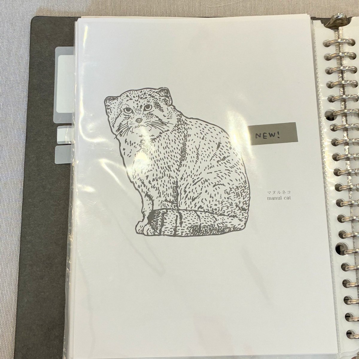 pens_alley_'s tweet photo. 【ameno　シルクスクリーンオーダー会開催中！】
140種類の中から絵柄を自由に選択できます
！人気の絵柄はマヌルネコとハシビロコウだそうです✨️
アイテムもTシャツやトートバッグなど色々な種類からえらべますよ〜
#ameno #ペンズアレイ https://t.co/BIRbCyc7RL