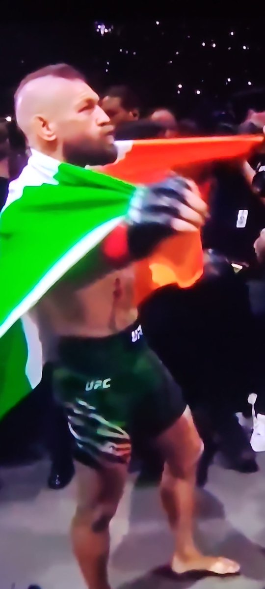 MizeraW's tweet photo. Connor KO'ed himself faster than he did Aldo 😭 https://t.co/IXqz46ji9O