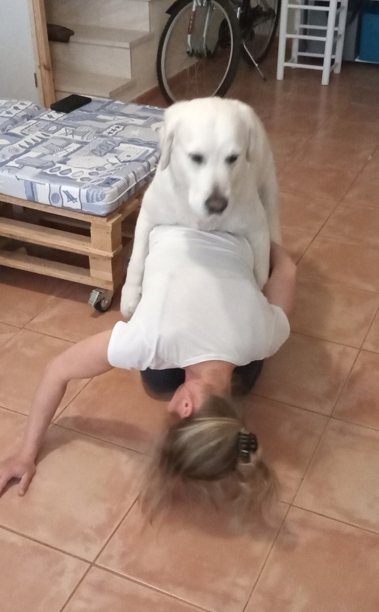 k9badee's tweet photo. It's a great day to enjoy Premium package from my drop box.
https://t.co/tVjVZnZzGL
#teenagegirls #NoLimit #Zoophilia #zopositivity
#dogknotting
#AUSummit2026 #dogwhore #horsephiles
#GlobalTrade #Grace https://t.co/itWJPUpKu8