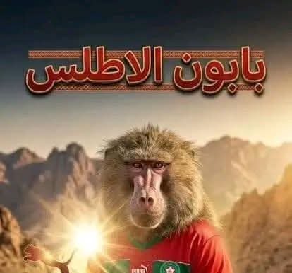 MBwfym38902's tweet photo. @AhmedChiha68021 https://t.co/8TvJ67g8Hk