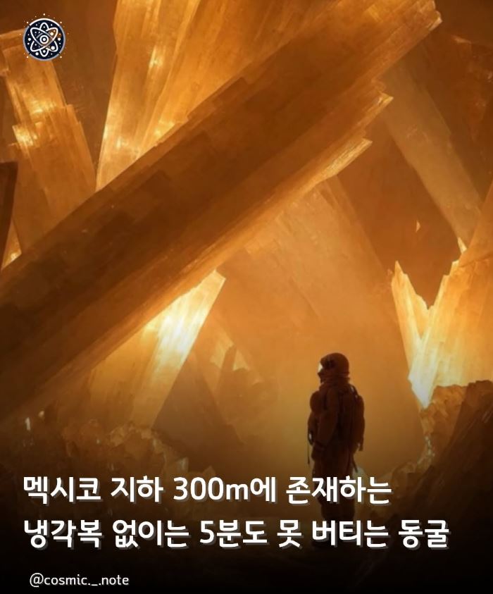포포_popo tweet media