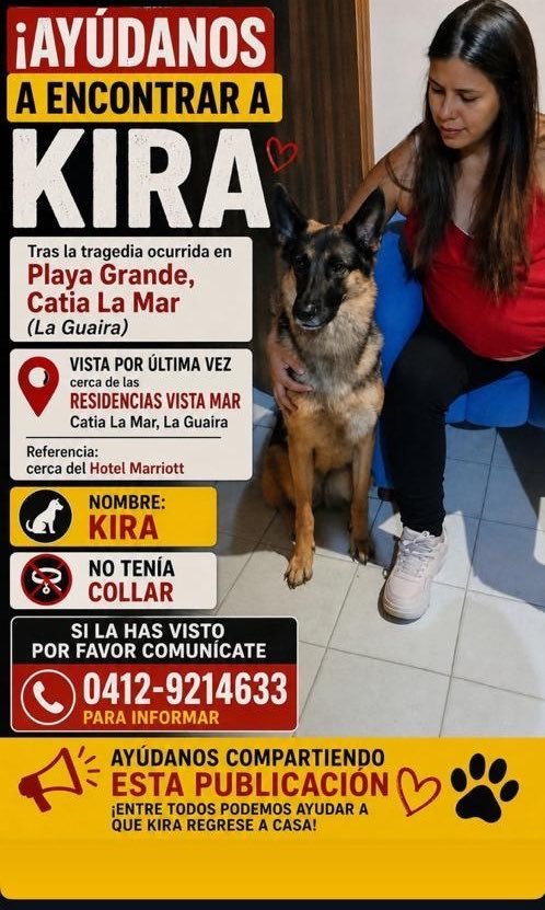 gracon27's tweet photo. #LaGuaira
#PlayaGrande
#CatiaLaMar

🚨🚨🚨🚨🚨🚨🚨🚨🚨🚨🚨🚨🚨🚨🚨🚨🚨🚨🚨🚨🚨🚨
                     SE BUSCA 
Por favor🙏🏻vamos a difundir❤️‍🩹
Su familia la busca 😭😭😭 
Gracias 🫂🇻🇪❤️‍🩹🥲 https://t.co/7p4lrxUuke