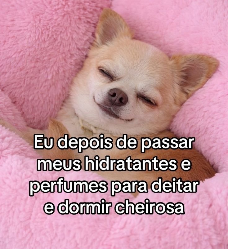 Mira Ferreira 🎀 tweet media