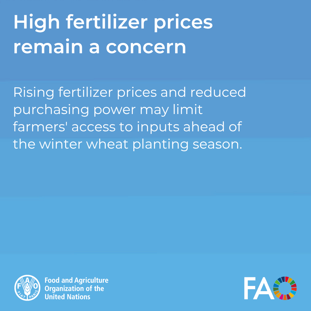 FAOAfghanistan's tweet photo. Swipe through to read some key findings 👇

Read full report here: https://t.co/joCBieTiLX https://t.co/153NXHmivG