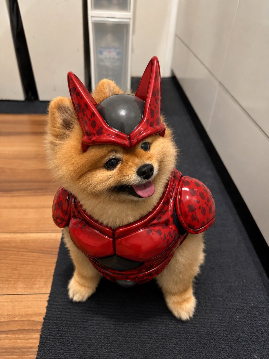 fuo_fficial's tweet photo. @dokkan_official セルマックスきたああああああ！ https://t.co/Fdp7sBuqPU