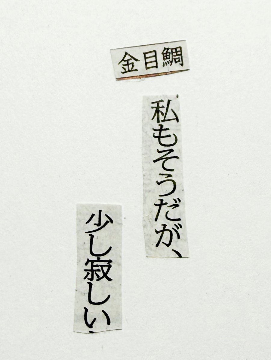 collage575's tweet photo. 新聞紙の言葉を切りとってつくる川柳。

金目鯛　私もそうだが、　少し寂しい https://t.co/pJ6byqMwzr