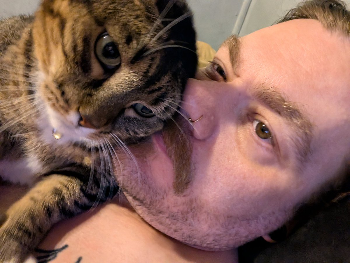 Reaper_Colin's tweet photo. Shiva said don't mind me while I make biscuits on your bare chest and try to blind and suffocate you with my head. https://t.co/j8p9AfdQY1