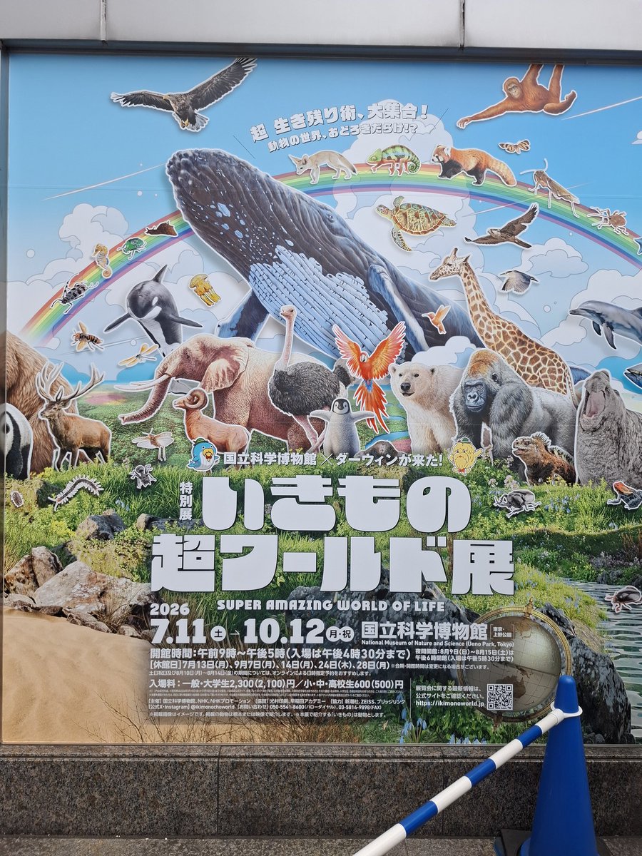 yfukky's tweet photo. 上野の科学博物館のダーウィン展見てきた。カタクチイワシの群れの乾燥標本展示されてたけど煮干しにしか見えない https://t.co/jDYSQBjd8S