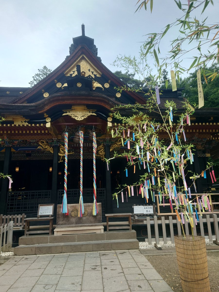 snow_drop35's tweet photo. どうしてもここに来たいと何故か思って……去年行けなかった国宝大崎八幡宮さま https://t.co/G5jdeFaD2N
