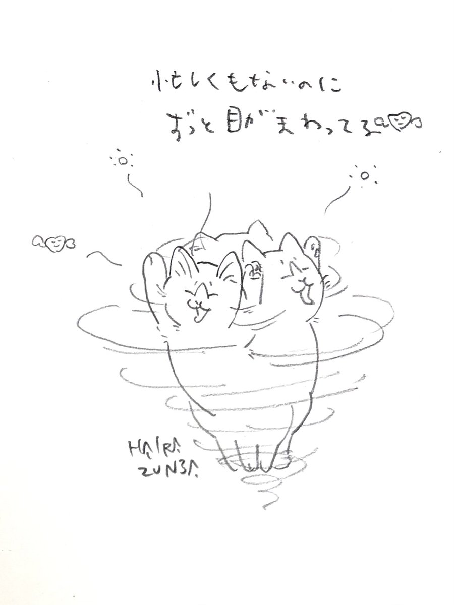 HairazunbaY's tweet photo. なーんにも進まないよ✌︎😇 https://t.co/M0gCcuDw8p