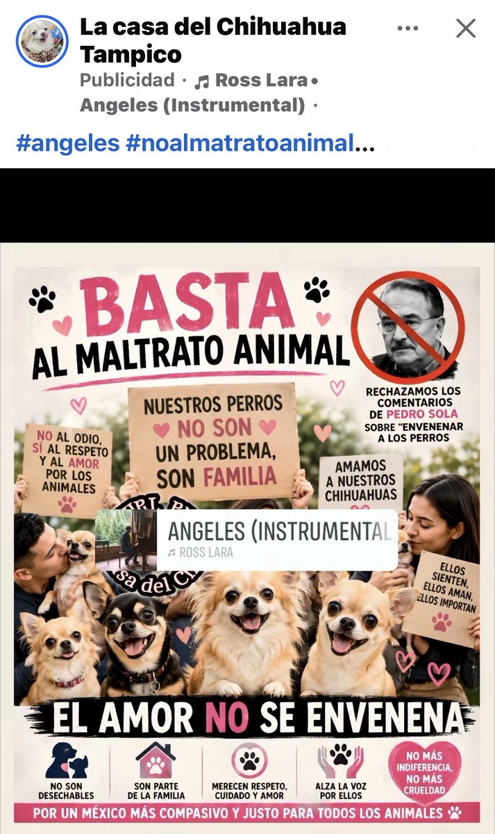 lisamayrin's tweet photo. Para los que andan pidiendo que dejen de “atacar” al #PedofiloPedroSola @tiopedritosola, odiador de los perritos, argumentando que lo consideren por su edad 🤦🏻‍♀️ entre ellos, #FlorRubio @Flor_Rubio, conductora de otro programa de chismes tipo #ChafaTeando 

Les dejo este conmovedor video de Don Felipe de 96 años. 🙌🏻