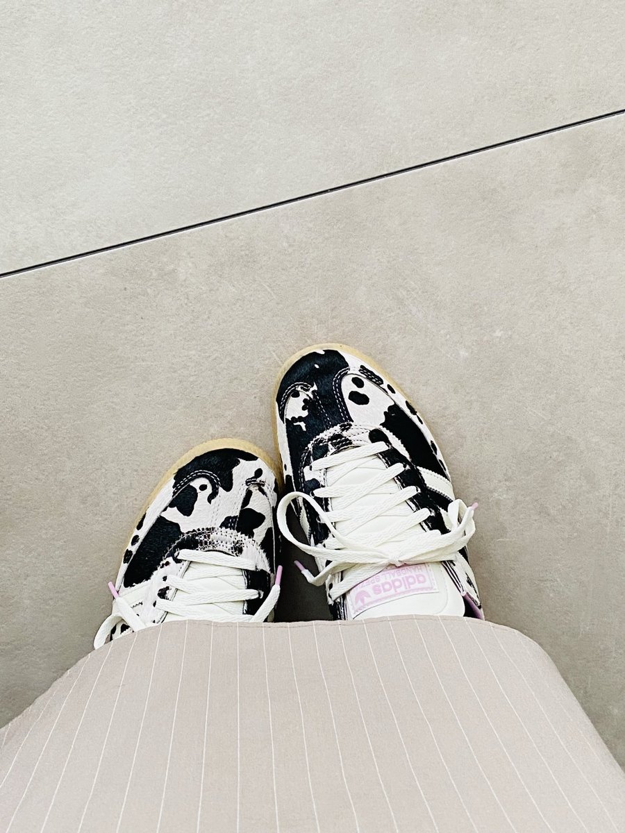 corocoro_bp's tweet photo. 🐄🩷 https://t.co/s71N5ejhP4