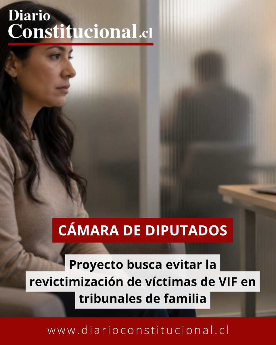 DiarioConst tweet picture