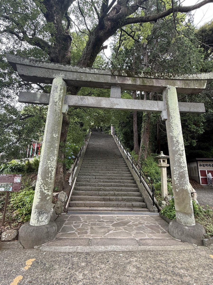 iris001971's tweet photo. 熱海2日目
猪目探し
#伊豆山神社⛩️ https://t.co/YXfePhomPv