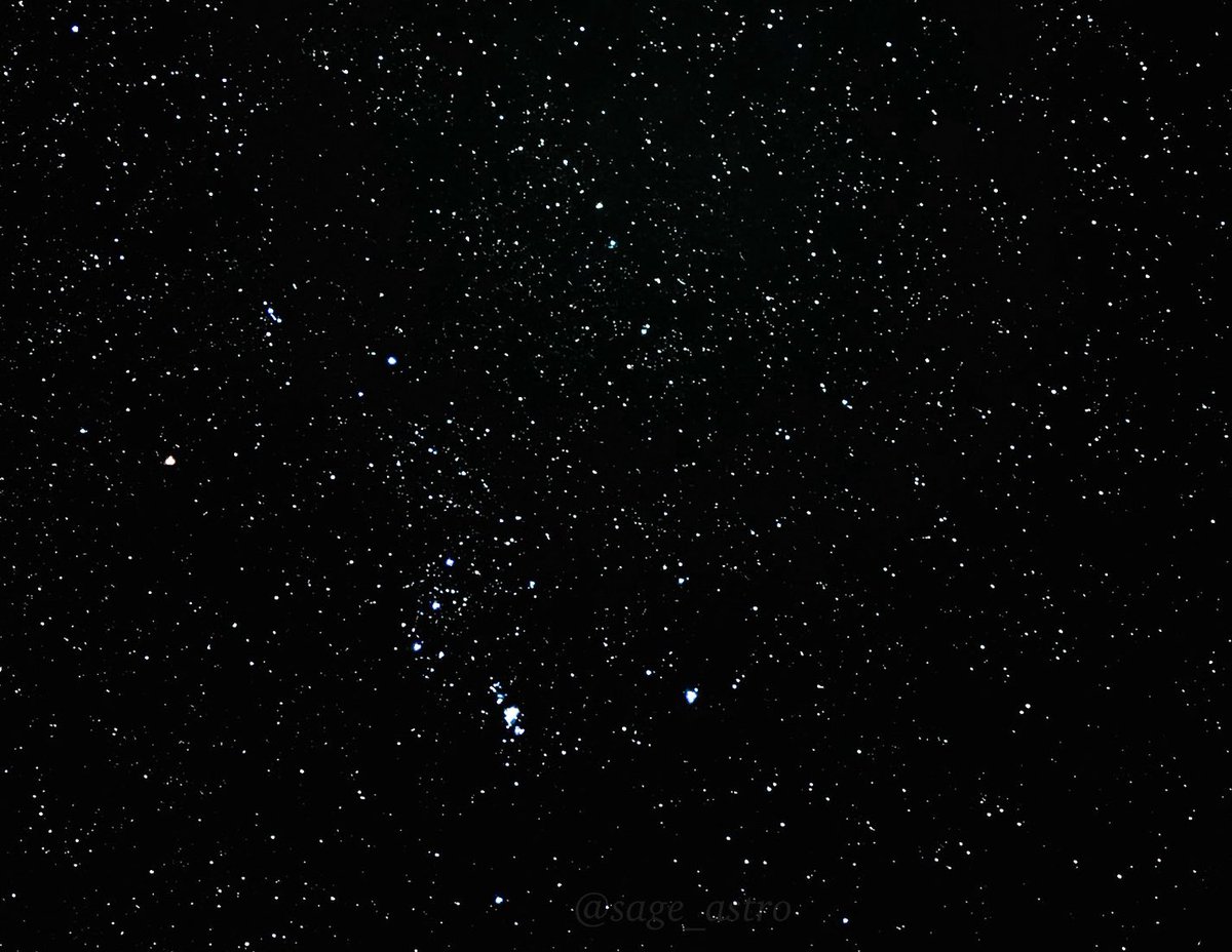 sage_astr's tweet photo. the amount of stars you can see when you get away from light pollution is insane https://t.co/lYGglIGZq0