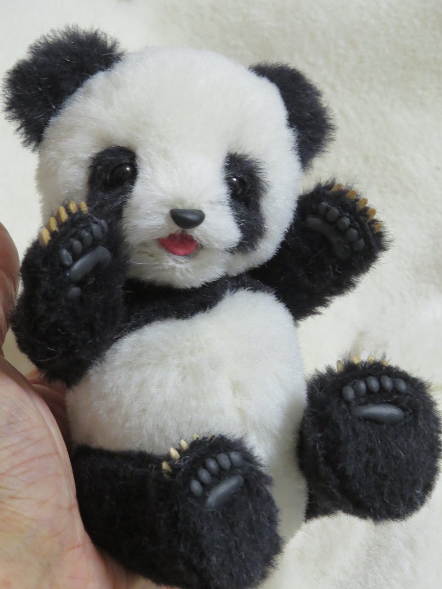イベントに向けて パンダちゃん🐼