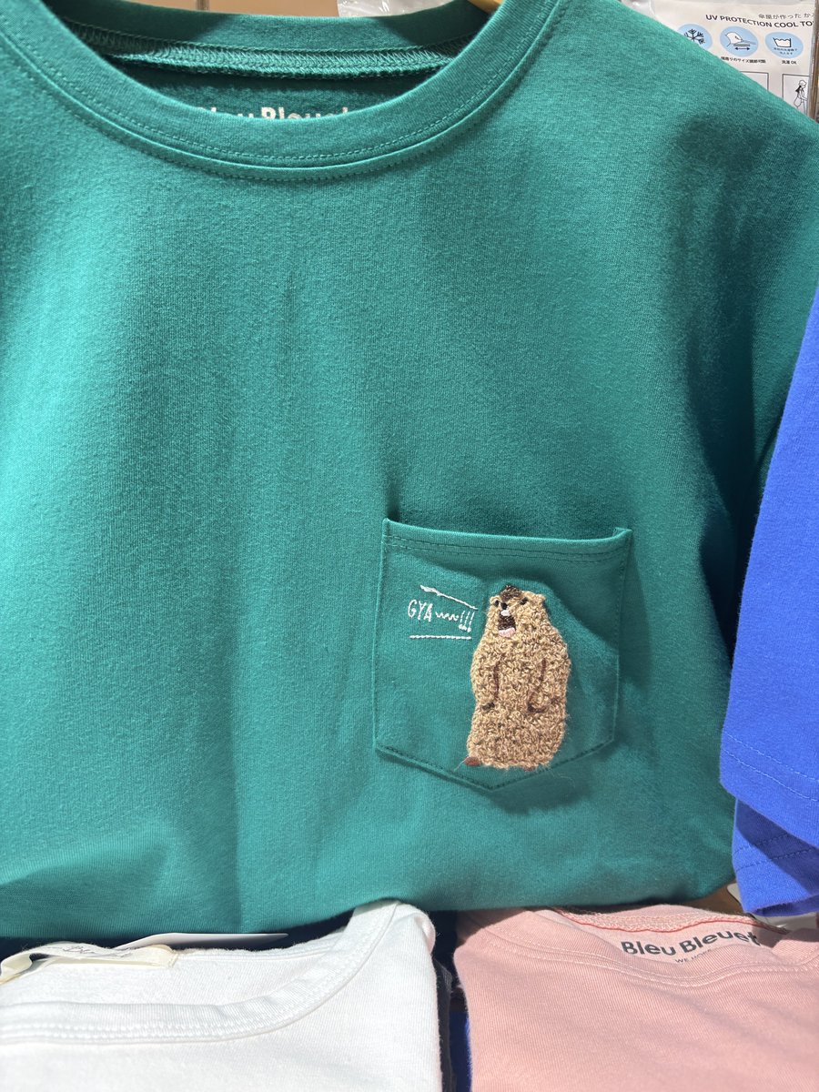 りんりん ご希望セット 後半分 買うべき⁉️⁉️⁉️⁉️