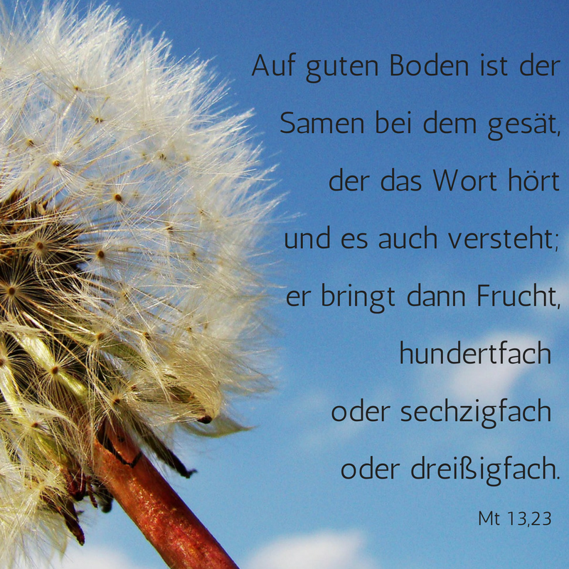 BistumBamberg's tweet photo. Wir wünschen Euch einen wunderbaren Sonntag! 😊
#GutenMorgen #TaEv #TagesEvangelium https://t.co/0EVd8ZGyyq