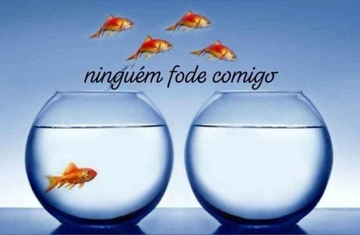 nilasyoungg's tweet photo. Como eu me sinto no Twitter https://t.co/37ocysFxSN
