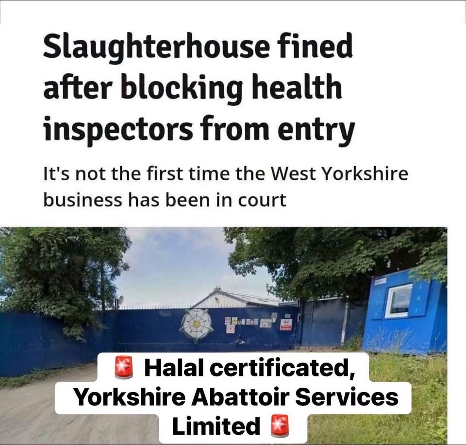 YorkshireDna's tweet photo. 🚨 Halal-certified slaughterhouse fined after blocking health inspectors from entering.
Yorkshire Abattoir Services Limited (West Yorkshire) was hit with over £62,800 in fines + costs for obstructing Food Standards Agency officers.
Not their first time in court — they were previously fined £34k+ for food hygiene offences in 2018.
When even basic inspections are being blocked, consumers have every right to ask questions about standards, welfare, and transparency in the supply chain.
#FoodSafety #Halal #Yorkshire