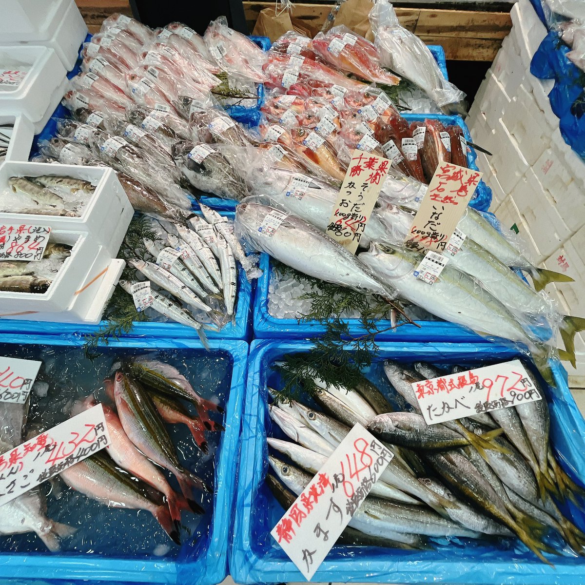 ＊魚様 リクエスト 3点 まとめ商品 おすすめ魚🐟いろいろ✨