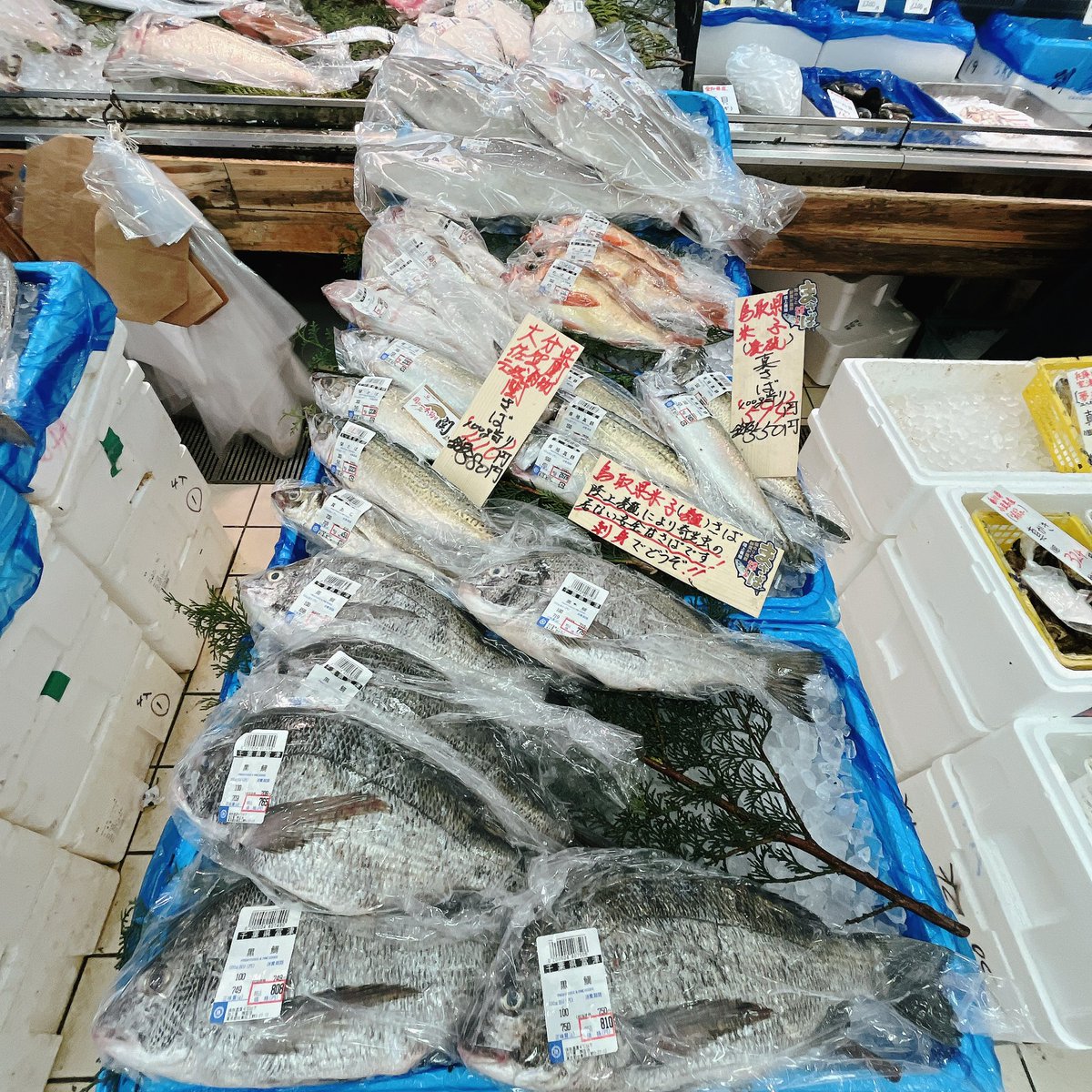 ＊魚様 リクエスト 3点 まとめ商品 おすすめ魚🐟いろいろ✨