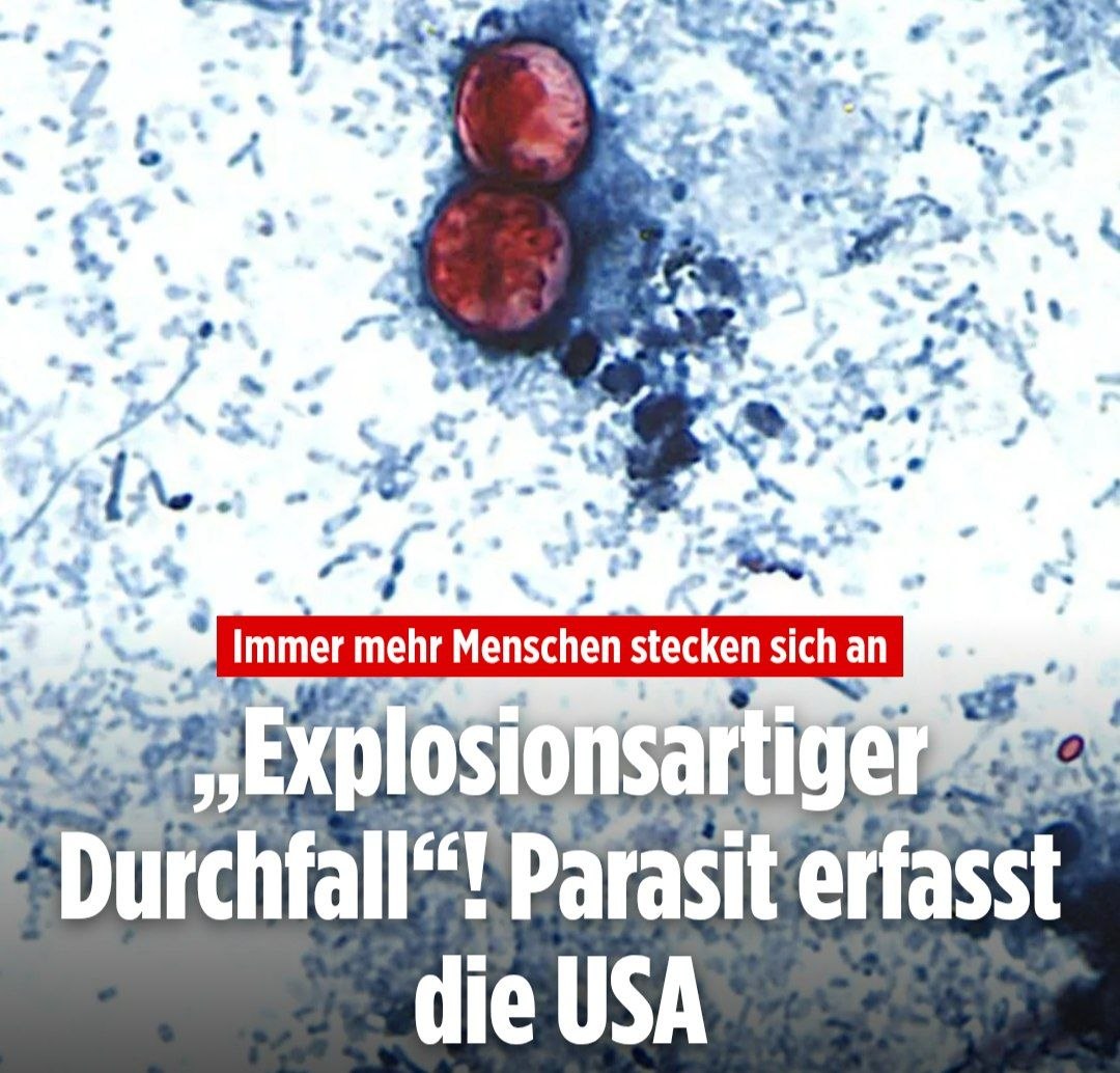 maikpi70's tweet photo. Nach der WM scheißt sich also die ganze Welt plötzlich & unerwartet in die Hose ….?!? 🤔😆🤣

Hunderte Menschen leiden plötzlich unter „explosionsartigem Durchfall“! Die Zahl der Ansteckungen steigt, in 31 von 50 Bundesstaaten infizierten sich Einwohner mit dem Krankheitserreger. Die Beschwerden können wochenlang anhalten.

Der sperrige Name des Parasiten lautet: „Cyclospora cayetanensis“. Für die Infizierten bedeutet der Erreger wochenlanger, wässriger Durchfall. Er wird in der Regel nicht direkt von Mensch zu Mensch, sondern über mit Fäkalien kontaminierte Lebensmittel übertragen. Dazu gehören Obst und Gemüse, aber auch Wasser, heißt es von der US-Gesundheitsbehörde CDC.

https://t.co/qiXa6pNTT8