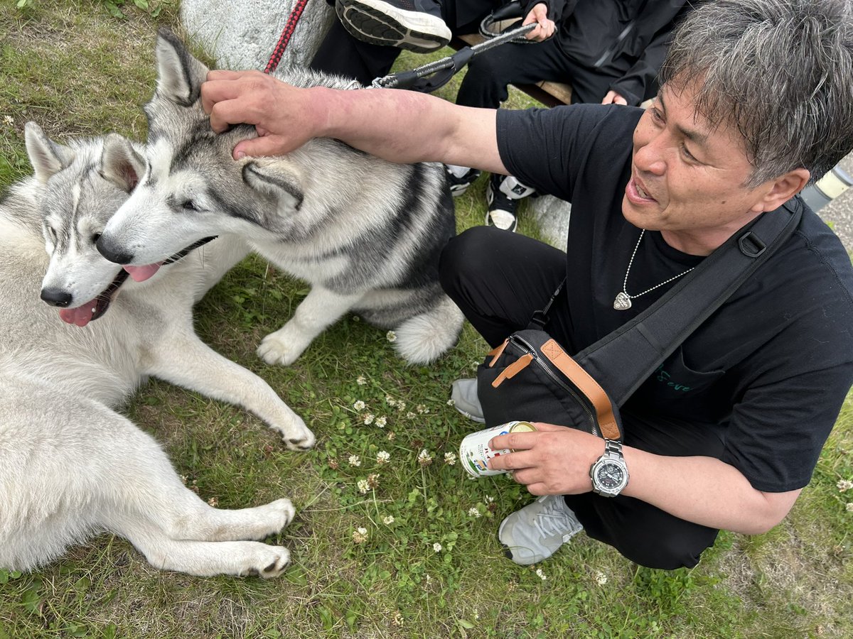 achuuuuu0402's tweet photo. 昨日のおまつりで出会ったかわいいこたち🐕🐕 https://t.co/9mFFBaS92A