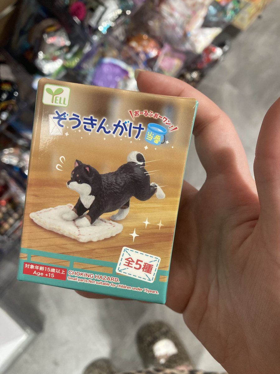 shibariiisan's tweet photo. other than that horrid hair appt ! 
life is good me thinks n i never was into blind boxes but i kindaaaa wanna collect them now. these r cute… gonn put sum on my throne if i can find them https://t.co/E0vSzxbSIl