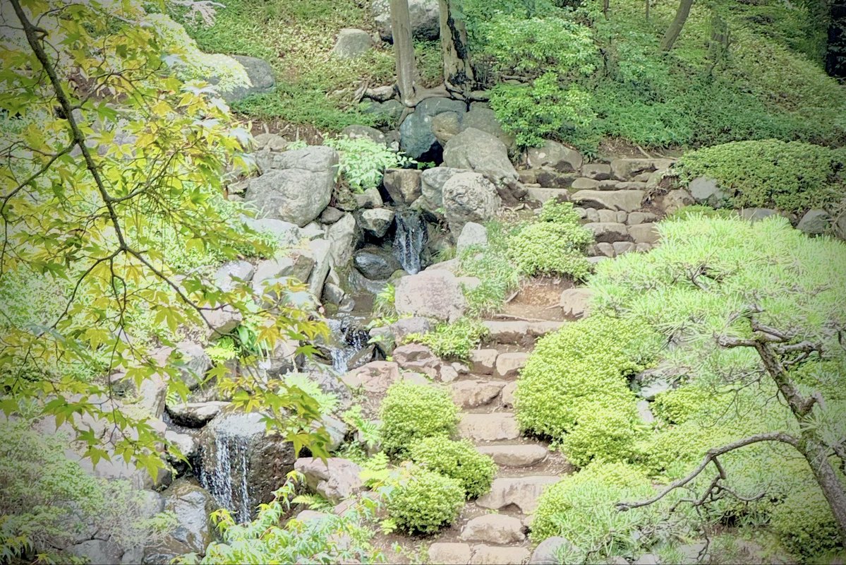 Miranda_mira_mk's tweet photo. 苔萌る 小川の水面
煌めいて 湧水ぷくぷく
涼し気に 舞の如しに
流れては 癒しの刻の
至福味わい

#和歌
#photo

おはようございます☀️何時も有難うございます🙏暑さが増してきましたね…体調にお気を付けて皆様が穏やかで優しい一週間を過ごせます様に…愛を込めて🌹
今週も宜しくお願いします🙏✨ https://t.co/PrxyrKhyrZ