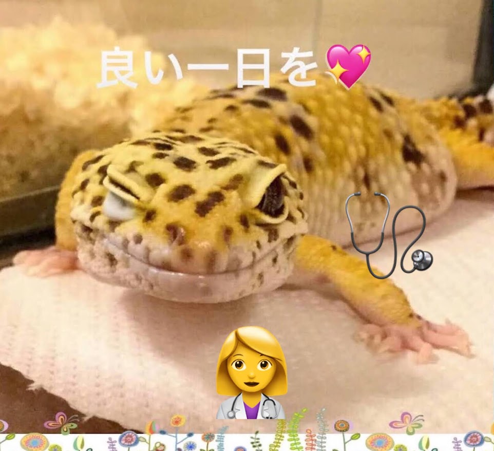 toskalt8513's tweet photo. おはようございます😀
今日も元気に宜しくお願いします🍀
7月12日は？1962年にロンドンのクラブに初出演 #ローリング・ストーンズ記念日
1954年に国立国際医療センターで初めて行われた #人間ドックの日
ノリノリな音楽聴きながら健康診断行くのかな😁
https://t.co/vKHuMCzQu1 https://t.co/fWm5ONVwDB