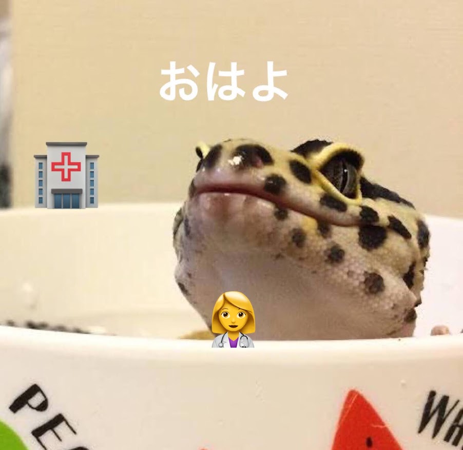 toskalt8513's tweet photo. おはようございます😀
今日も元気に宜しくお願いします🍀
7月12日は？1962年にロンドンのクラブに初出演 #ローリング・ストーンズ記念日
1954年に国立国際医療センターで初めて行われた #人間ドックの日
ノリノリな音楽聴きながら健康診断行くのかな😁
https://t.co/vKHuMCzQu1 https://t.co/fWm5ONVwDB