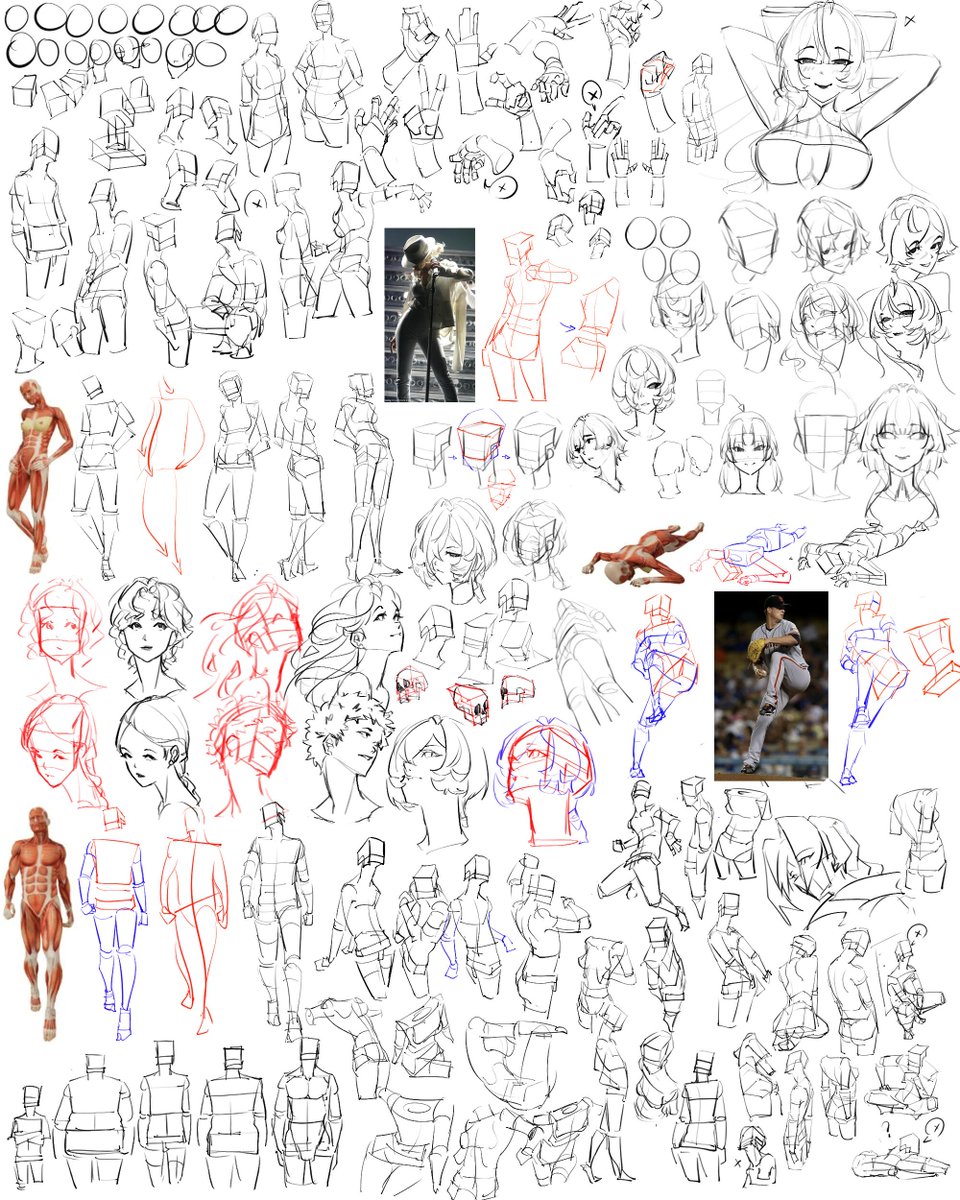 mk8h_art's tweet photo. it's that time again. Canvas full of my studies for the past 3 days📝🦐 https://t.co/5NWxtRZcIZ