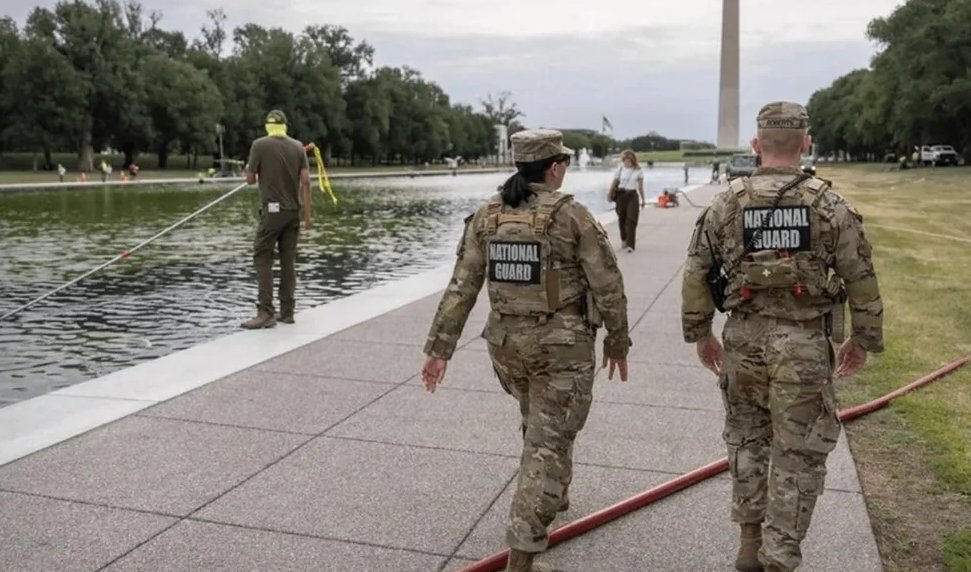 CattardSlim's tweet photo. Grandpa: I did 4 tours in Nam.

Dad: I did 4 tours in Fallujah.

Son: I did 4 tours at the reflecting pool. https://t.co/dHTn7PDS1S