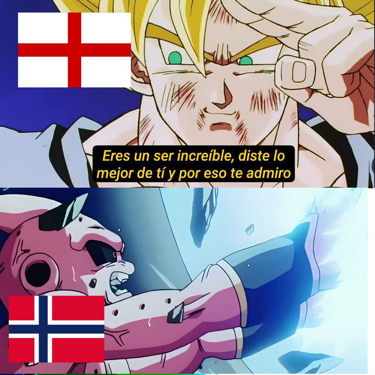 AnimetrendsLA's tweet photo. NORUEGA Y ERLING HAALAND FUERON ELIMINADOS DEL MUNDIAL 😞 https://t.co/kCLvMahVP4