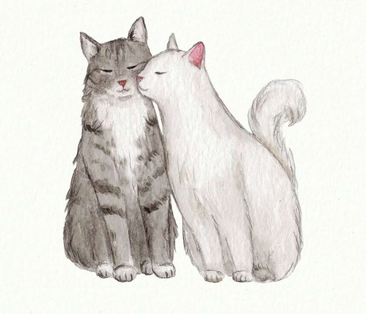catsdotjpg's tweet photo. https://t.co/cAmrZ9p44N