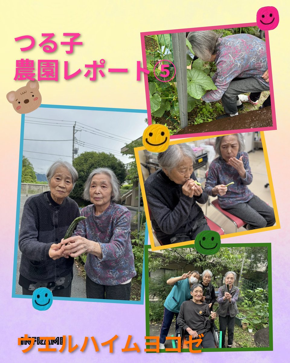 syokusenkai's tweet photo. つる子農園レポート⑤　きゅうり🥒を収穫いたしました👍️
早速に塩を振りかけていただきました❗️大変に瑞々しく美味しいきゅうりでした😊つる子農園の成長を皆さん愉しみにしております。
#ウエルハイムヨコゼ #秩父#横瀬町 #家庭菜園 #きゅうり https://t.co/r1d6AQmS2X