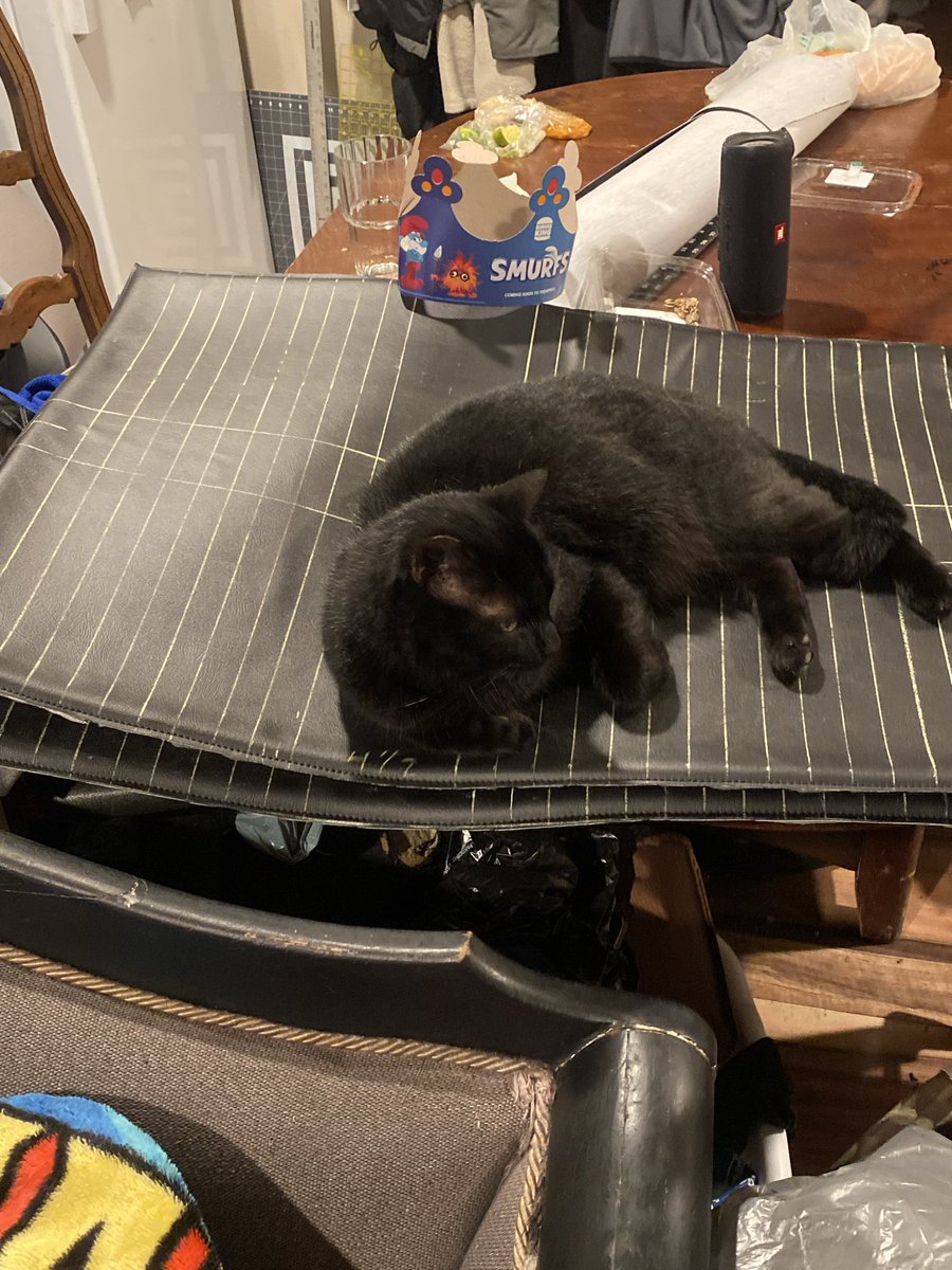 rollbot88's tweet photo. The cats https://t.co/xXRQrxVafQ