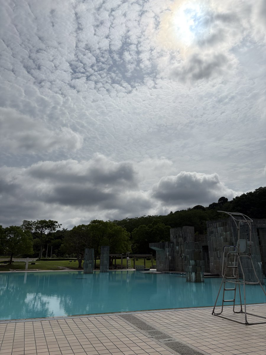 duke_soba's tweet photo. 本日もいい天気 https://t.co/gwLFlR78sq