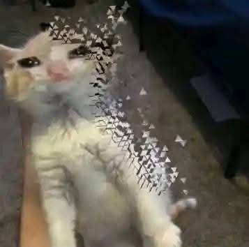 EmraldKun's tweet photo. Fucking hell Essie, your curse is still active. https://t.co/Xl9cNmb5aH
