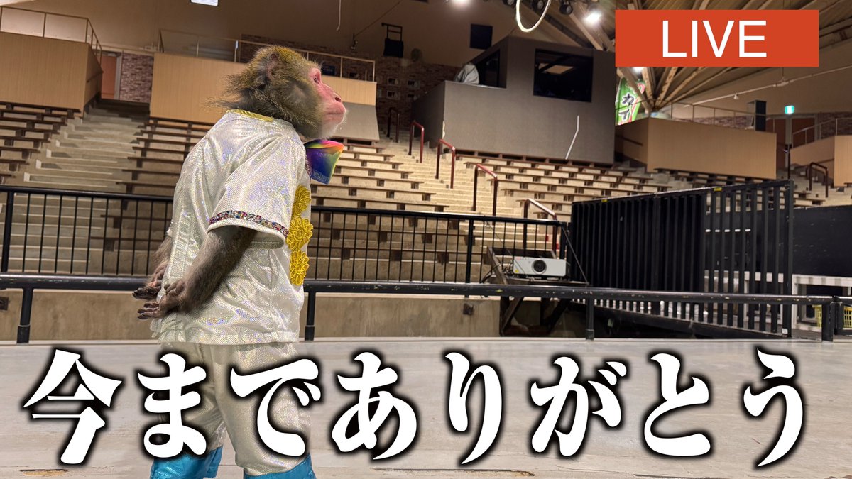pookieskuroda's tweet photo. 本日は、21:00ごろからメインチャンネルで生配信の予定です…！！
みなさま、ぜひ…！！ https://t.co/5rCDPkQcKh