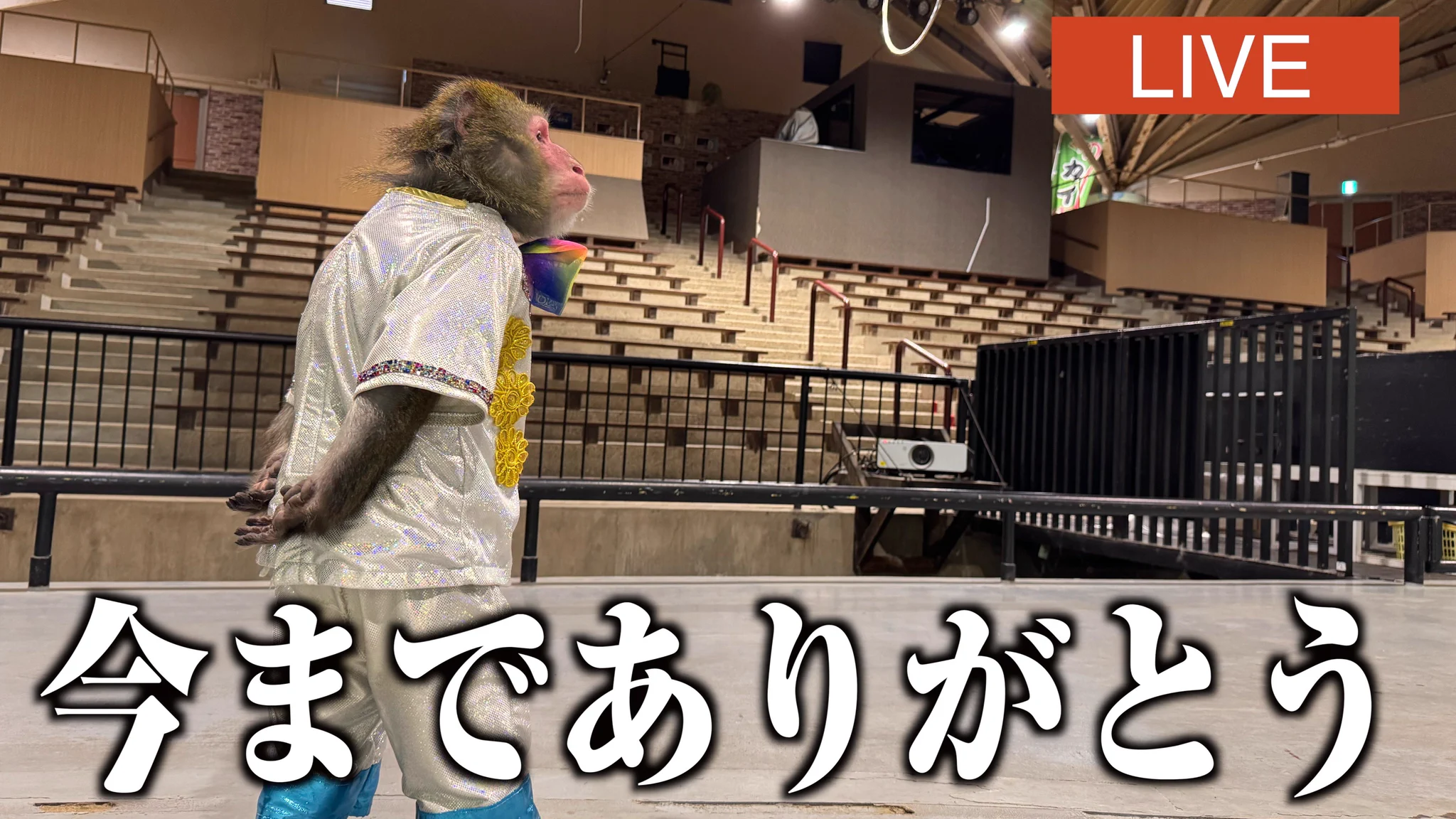プーキーズ on X: 