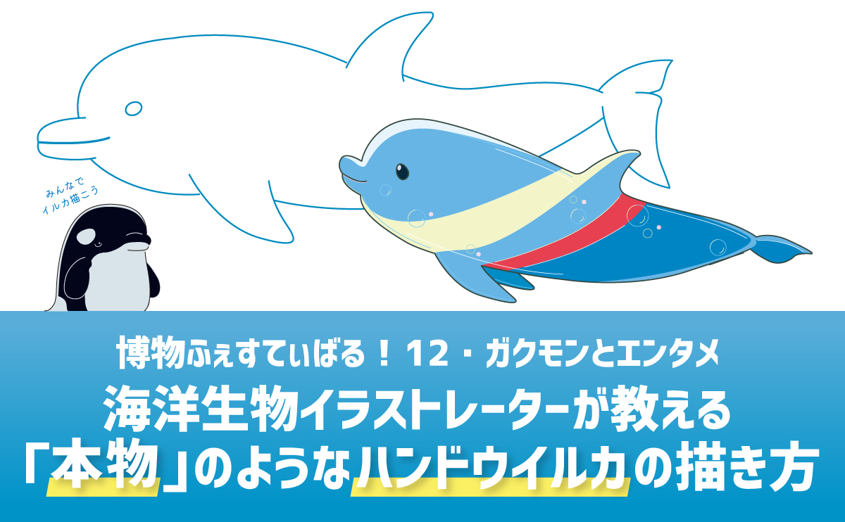 BlueFieldnet's tweet photo. 【#博物ふぇすてぃばる！12】
初出展✨️
📅7/19（日）
🏢東京ビッグサイト
11:00〜17:30
※イベントは7/20（月・祝）まで開催しています

ブース番号：D26

📝ガクモンとエンタメ
「本物」のようなハンドウイルカの描き方
https://t.co/p7vYHHt0RG

皆様、ぜひ遊びに来てくださいね🐬 https://t.co/Og54BWkSPK