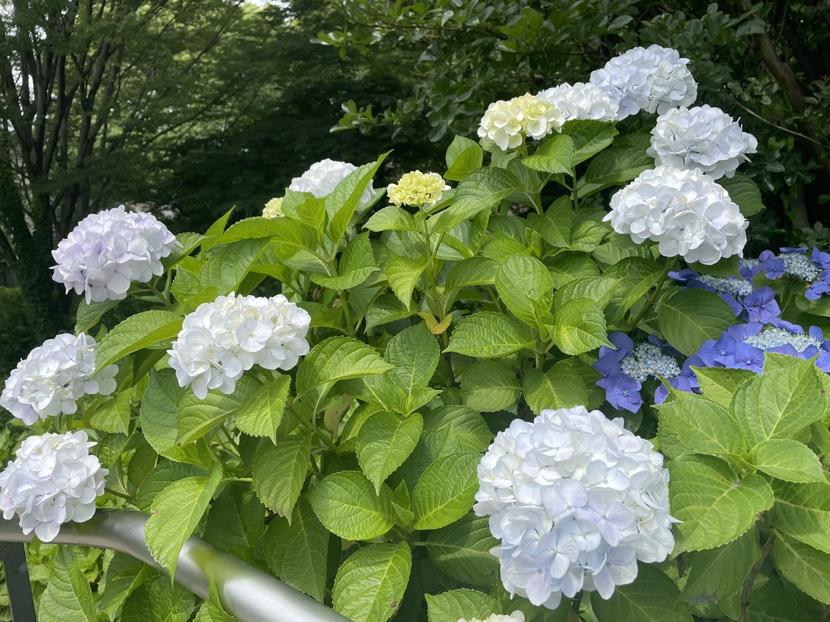 Yuurei2026's tweet photo. @TaoTie_s https://t.co/e1bE5MyVM2