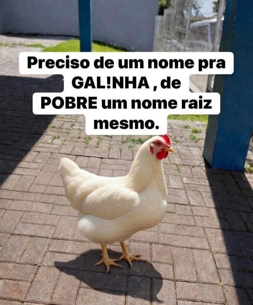 Professora Tati tweet media