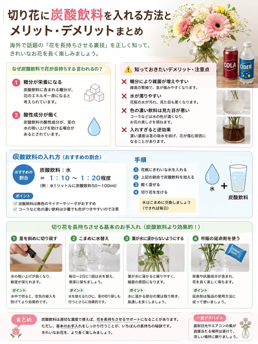 Japanese Cut Flower Soda Care Infographic