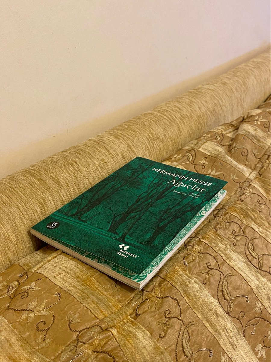 ayslovebot's tweet photo. selam ya
gün6 en sevdiğim kitap olacağına emin olduğum bir kitaba başladım🏡 https://t.co/GW5HeoJjVn