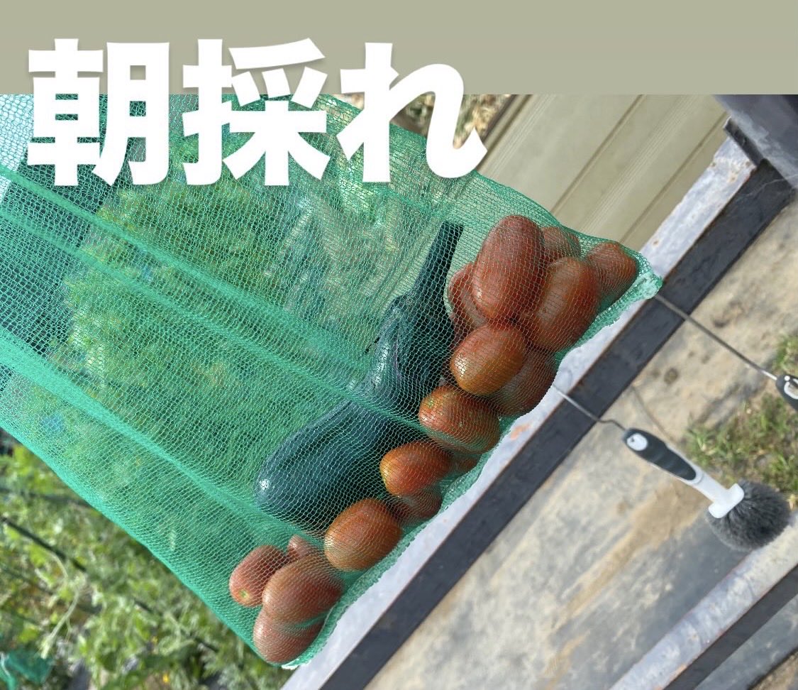 DumK2015's tweet photo. https://t.co/UkFQJb01CM
